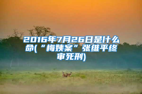 2016年7月26日是什么命(“梅姨案”张维平终审死刑)