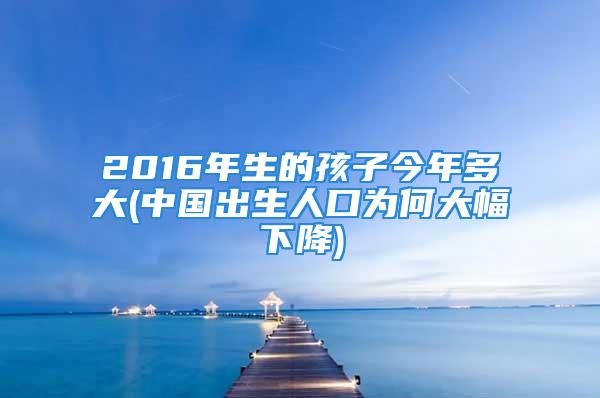 2016年生的孩子今年多大(中国出生人口为何大幅下降)