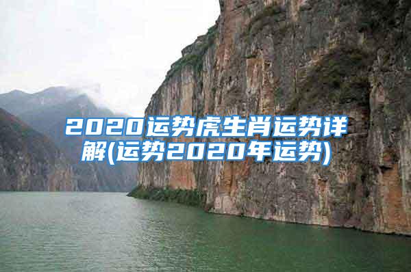 2020运势虎生肖运势详解(运势2020年运势)