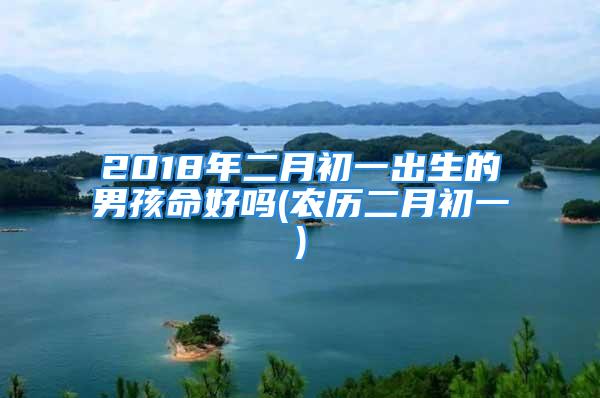 2018年二月初一出生的男孩命好吗(农历二月初一)