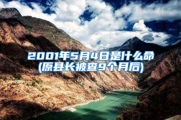 2001年5月4日是什么命(原县长被查9个月后)