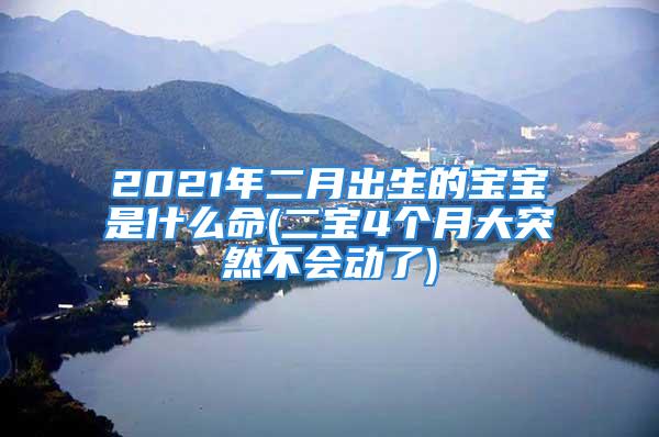 2021年二月出生的宝宝是什么命(二宝4个月大突然不会动了)