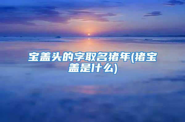 宝盖头的字取名猪年(猪宝盖是什么)