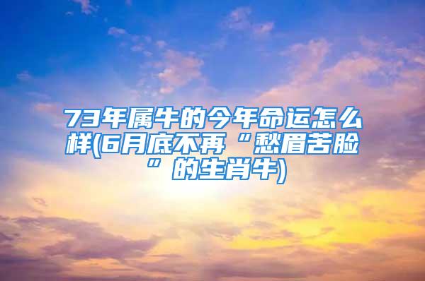 73年属牛的今年命运怎么样(6月底不再“愁眉苦脸”的生肖牛)