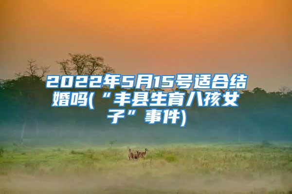 2022年5月15号适合结婚吗(“丰县生育八孩女子”事件)