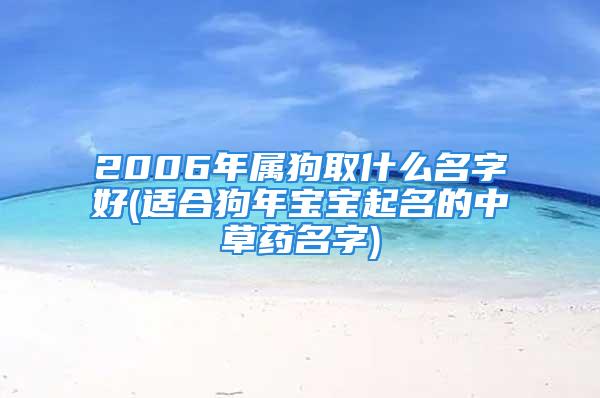 2006年属狗取什么名字好(适合狗年宝宝起名的中草药名字)