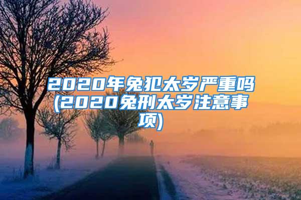 2020年兔犯太岁严重吗(2020兔刑太岁注意事项)