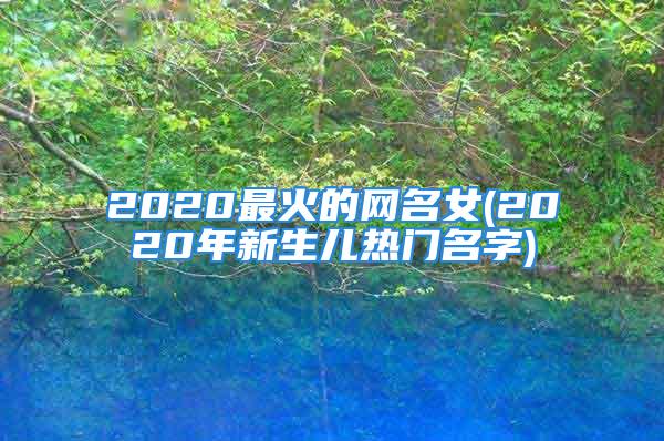 2020最火的网名女(2020年新生儿热门名字)