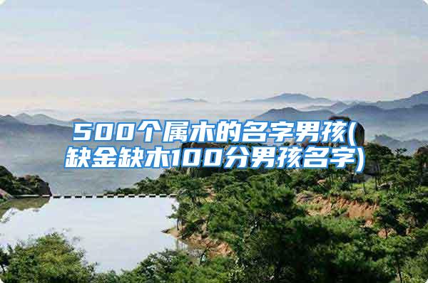 500个属木的名字男孩(缺金缺木100分男孩名字)