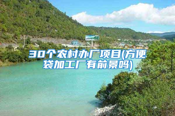 30个农村办厂项目(方便袋加工厂有前景吗)