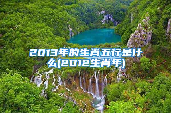 2013年的生肖五行是什么(2012生肖年)