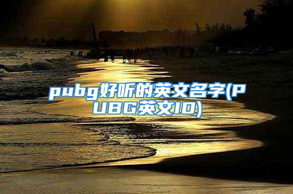 pubg好听的英文名字(PUBG英文ID)