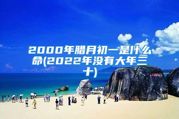 2000年腊月初一是什么命(2022年没有大年三十)