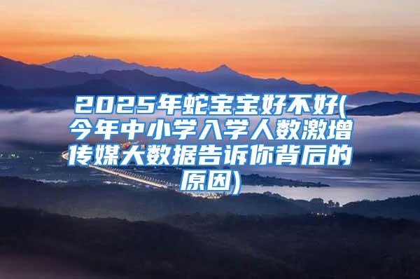 2025年蛇宝宝好不好(今年中小学入学人数激增传媒大数据告诉你背后的原因)