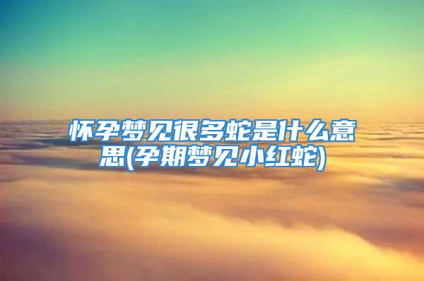 怀孕梦见很多蛇是什么意思(孕期梦见小红蛇)