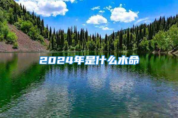 2024年是什么木命