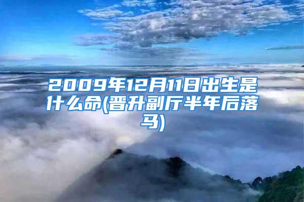 2009年12月11日出生是什么命(晋升副厅半年后落马)