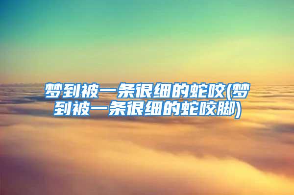 梦到被一条很细的蛇咬(梦到被一条很细的蛇咬脚)