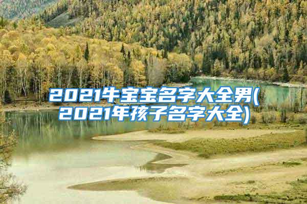 2021牛宝宝名字大全男(2021年孩子名字大全)