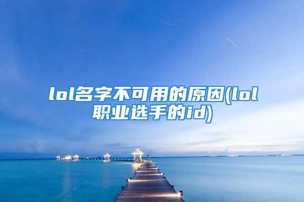 lol名字不可用的原因(lol职业选手的id)