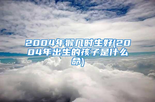 2004年猴几时生好(2004年出生的孩子是什么命)