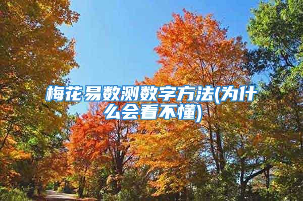 梅花易数测数字方法(为什么会看不懂)