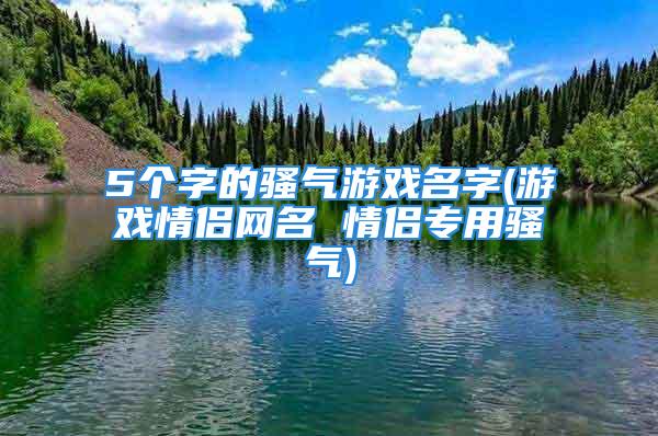 5个字的骚气游戏名字(游戏情侣网名 情侣专用骚气)