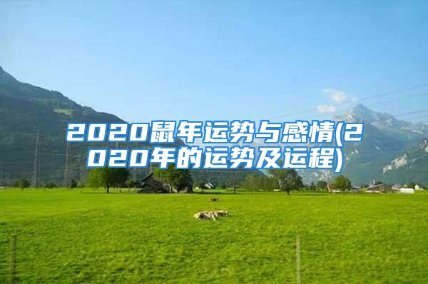 2020鼠年运势与感情(2020年的运势及运程)