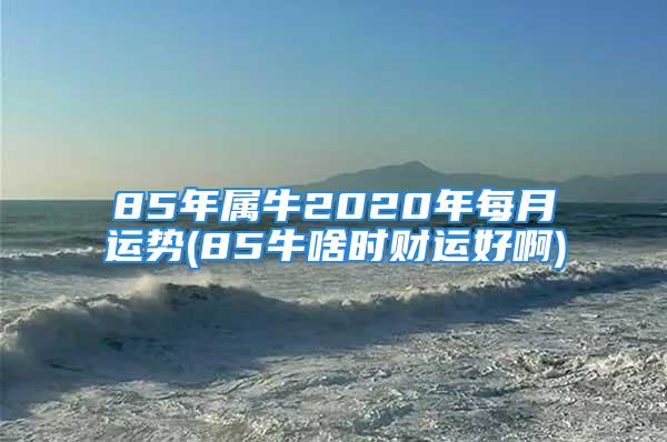 85年属牛2020年每月运势(85牛啥时财运好啊)