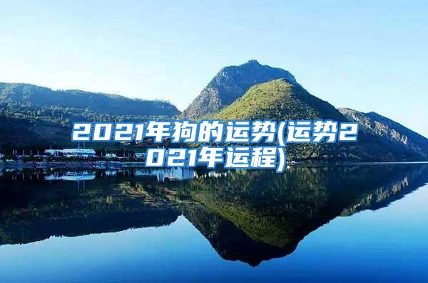 2021年狗的运势(运势2021年运程)