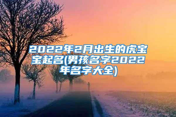 2022年2月出生的虎宝宝起名(男孩名字2022年名字大全)