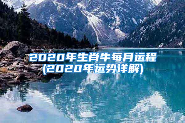 2020年生肖牛每月运程(2020年运势详解)