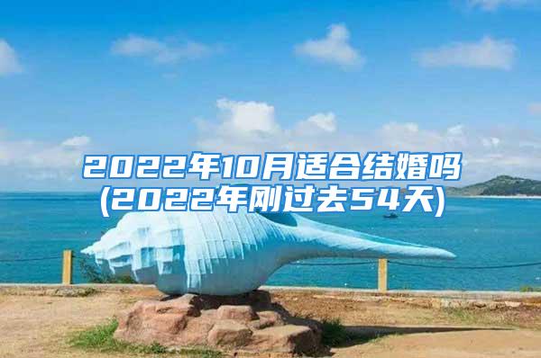 2022年10月适合结婚吗(2022年刚过去54天)