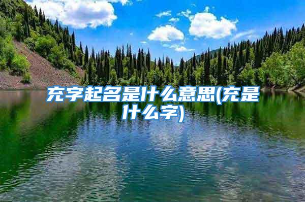 充字起名是什么意思(充是什么字)