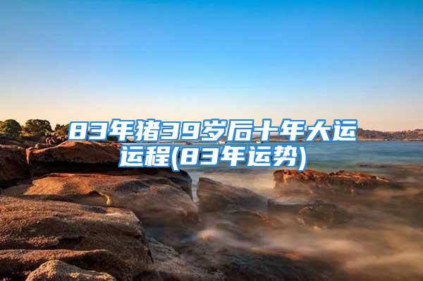 83年猪39岁后十年大运运程(83年运势)