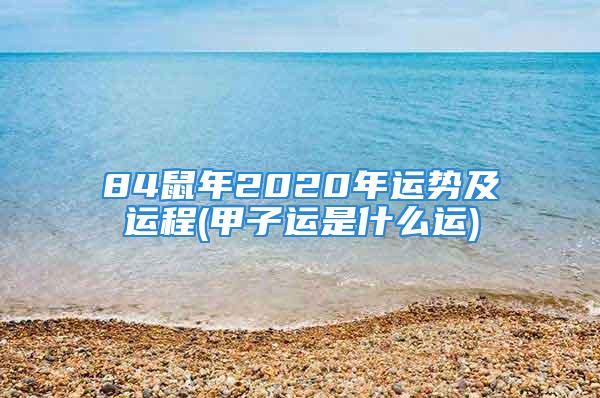 84鼠年2020年运势及运程(甲子运是什么运)