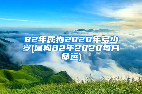 82年属狗2020年多少岁(属狗82年2020每月命运)