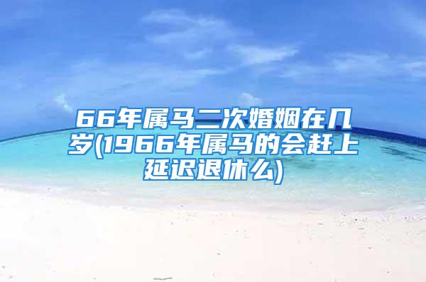 66年属马二次婚姻在几岁(1966年属马的会赶上延迟退休么)