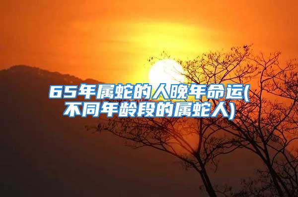 65年属蛇的人晚年命运(不同年龄段的属蛇人)