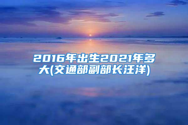 2016年出生2021年多大(交通部副部长汪洋)