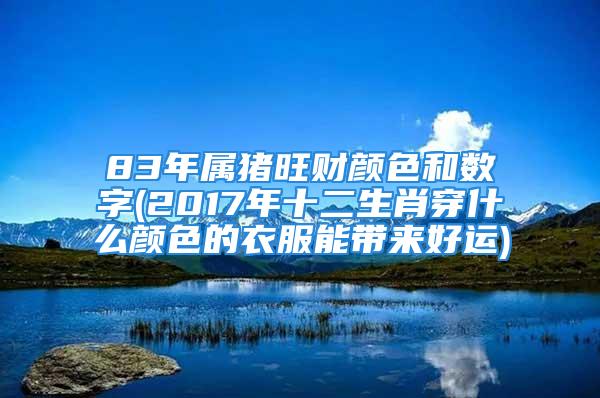 83年属猪旺财颜色和数字(2017年十二生肖穿什么颜色的衣服能带来好运)