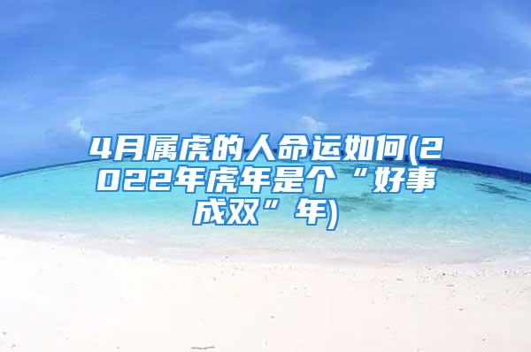 4月属虎的人命运如何(2022年虎年是个“好事成双”年)