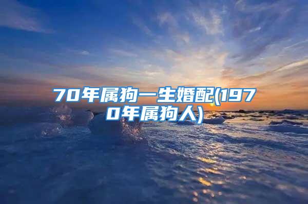 70年属狗一生婚配(1970年属狗人)