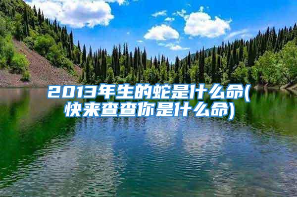 2013年生的蛇是什么命(快来查查你是什么命)