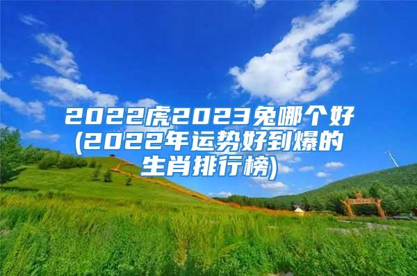 2022虎2023兔哪个好(2022年运势好到爆的生肖排行榜)