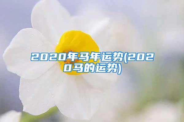 2020年马年运势(2020马的运势)