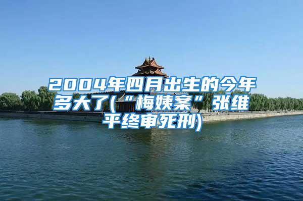 2004年四月出生的今年多大了(“梅姨案”张维平终审死刑)