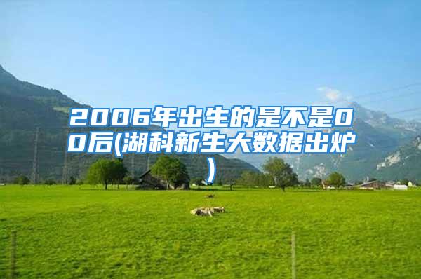 2006年出生的是不是00后(湖科新生大数据出炉)