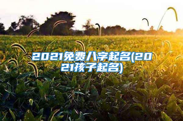 2021免费八字起名(2021孩子起名)