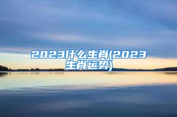 2023什么生肖(2023生肖运势)